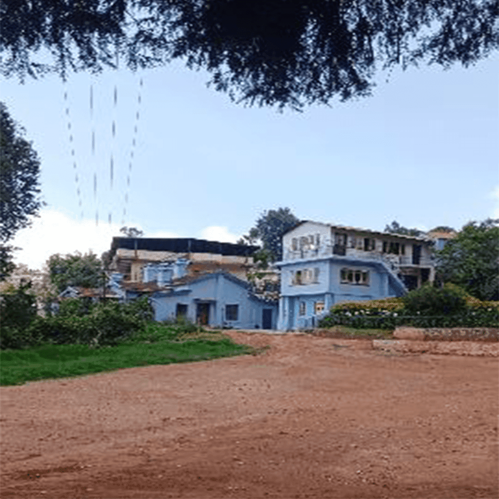 Timber Top Matriculations higher Sec School